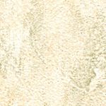 Parchment