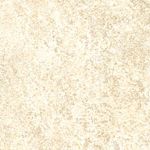 Parchment