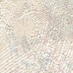 Rose Blue Beige