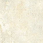 Parchment