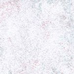 Rose Grey