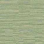 Jute