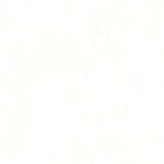 Parchment