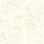 Parchment