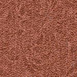 Cranberry