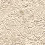 Parchment