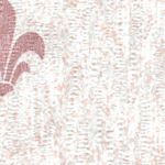 Grey Pink