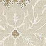 Beige Gold