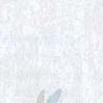 Lt/Blue