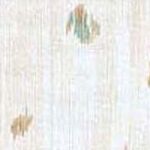Beige Green Tan Rust