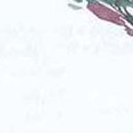 Green Burgundy Blue