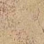 Beige Red