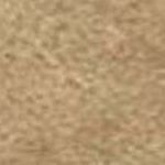 Cream Beige