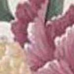 Mauve Green Blue