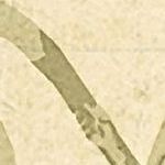 Parchment
