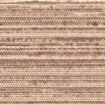 Allspice