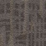 Black Walnut