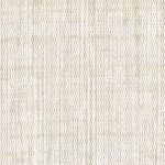 Pearl Shell