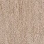 Bark