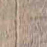 Dk Beige