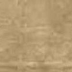 Gold Beige