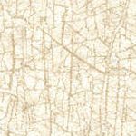 Beige Cream