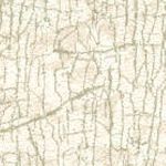 Beige Green