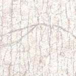 Beige Pink
