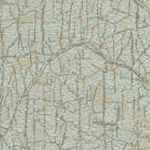 Beige Cream