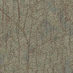 Olive Rust