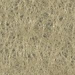 Angelus