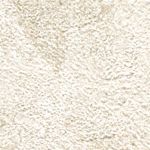 Parchment