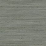 Loblolly Pine