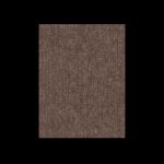 Cambium