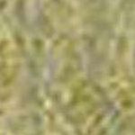 Moss