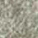 Palm