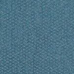 Aquatic Shimmer