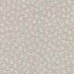 Pumice