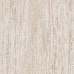 Birch Wood