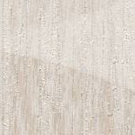 Birch Wood