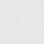 Sanforini White