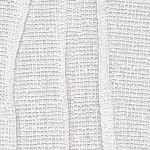 Cotton Seed