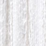 Birch Bark
