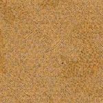 Terra Cotta