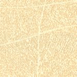 Raffia