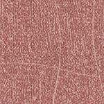 Lacquer