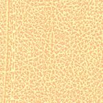 Gold Rush