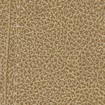 Desert Sand