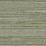 Jute