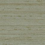 Jute